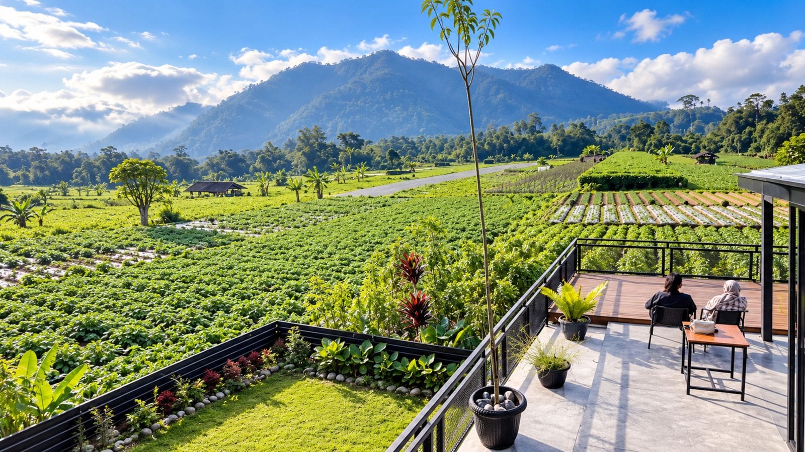 Cafe View Sawah Magelang: Spot Ngopi Tenang di Jalur Wisata