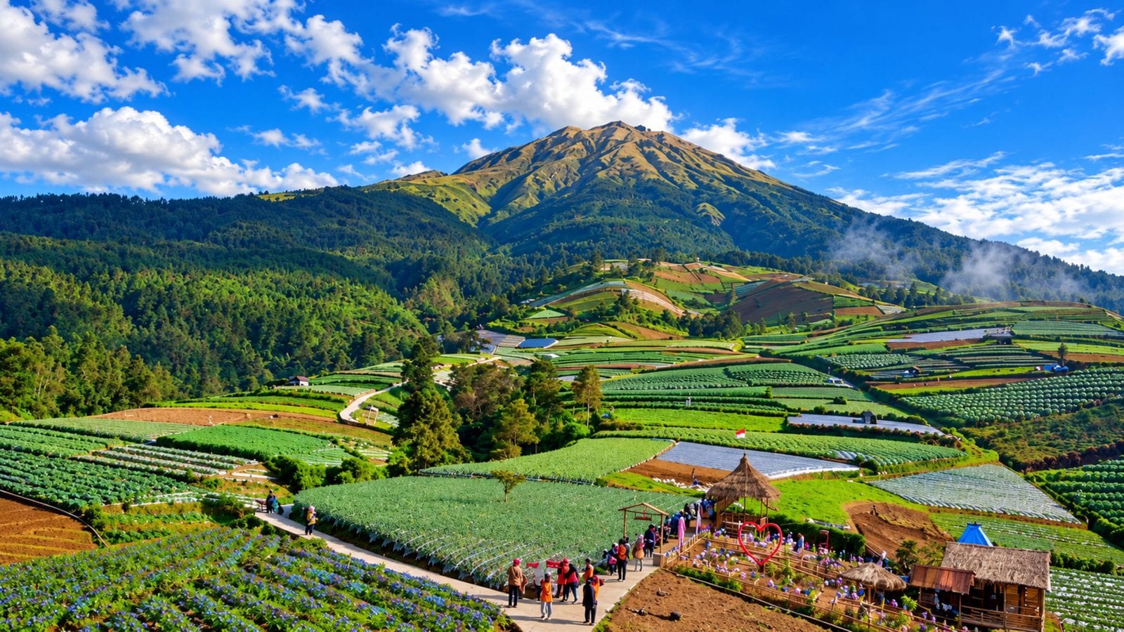 Ilustrasi hamparan ladang dan sawah bertingkat dengan latar gunung di Magelang